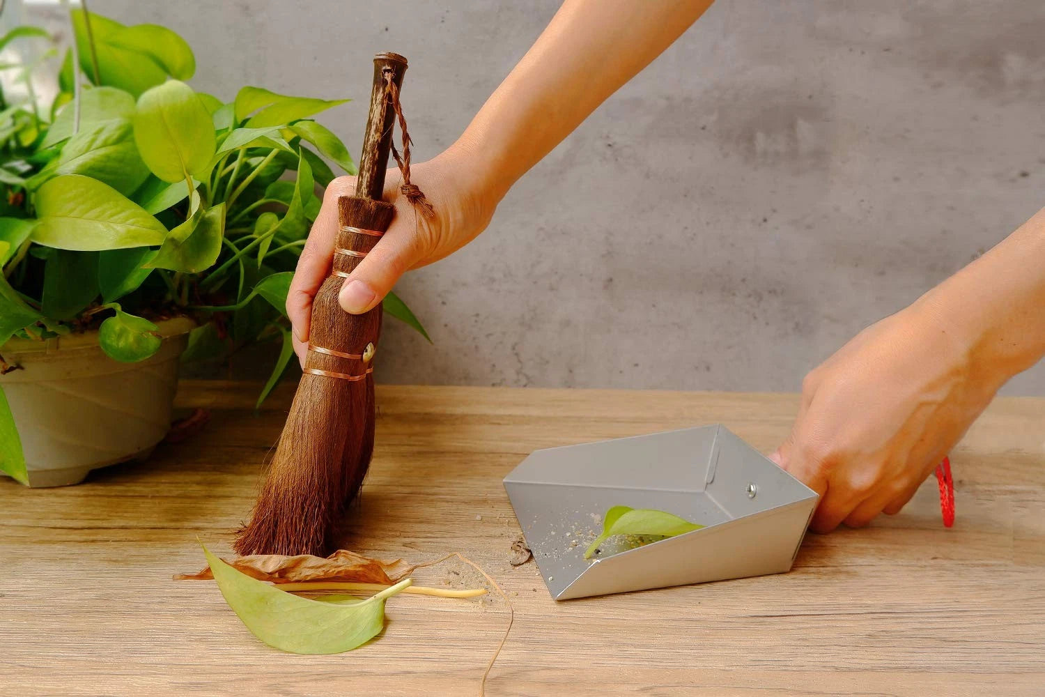 Mini Metal Dustpan and Brush Set Natural Bristle Hand Broom for Fireplace Woo...